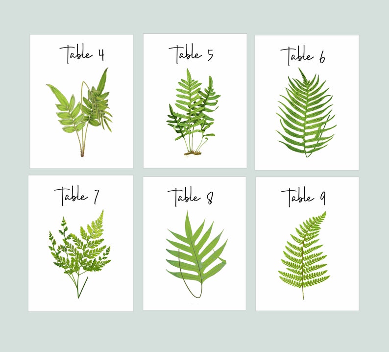 FERN Table Cards, Fern Table Numbers, Woodland Table Tents, Wedding Table Cards, Wedding Botanicals, Fern Wedding Cards, Garden Table image 3