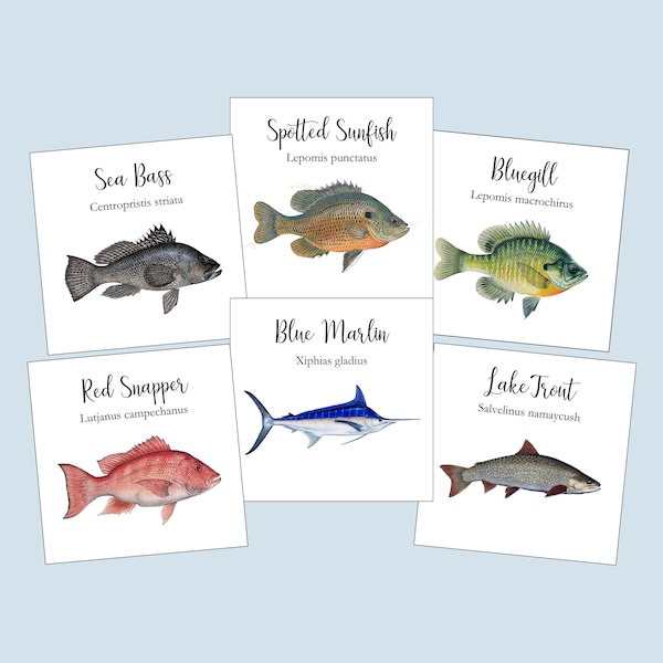 Fish Table Cards, Summer Wedding Table Cards, Freshwater Fish, Camping Table Cards, Lake Table Cards, Table Numbers, Fishing  Table Cards,