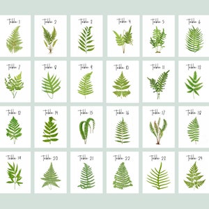 FERN Table Cards, Fern Table Numbers, Woodland Table Tents, Wedding Table Cards, Wedding Botanicals, Fern Wedding Cards, Garden Table image 4