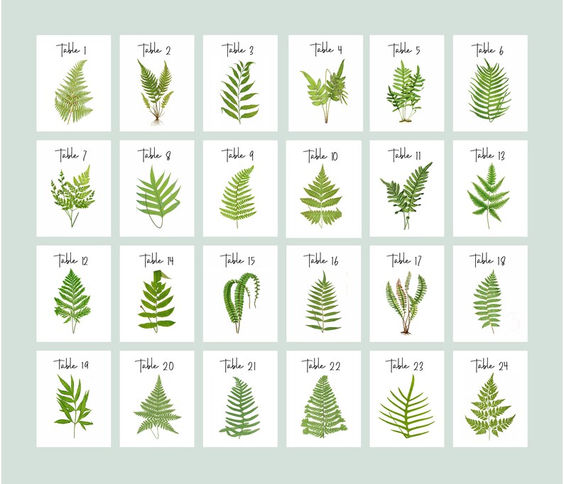 FERN Table Cards, Fern Table Numbers, Woodland Table Tents, Wedding Table Cards, Wedding Botanicals, Fern Wedding Cards, Garden Table image 4