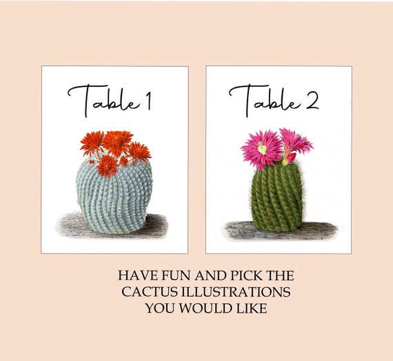 Cactus Table Numbers, Desert Table Tents, Cactus Table Cards, Desert  Wedding Table Cards - Etsy