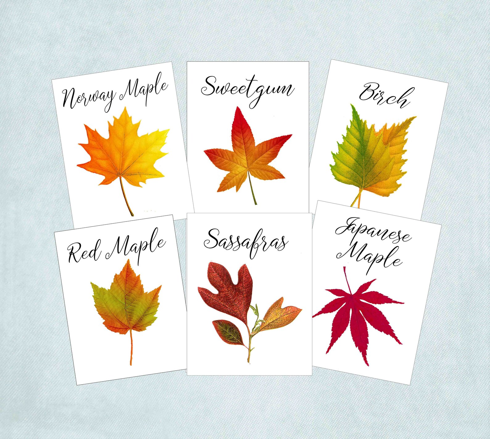 Autumn Leaf Table Cards Autumn Leaf Table Tents Autumn Etsy
