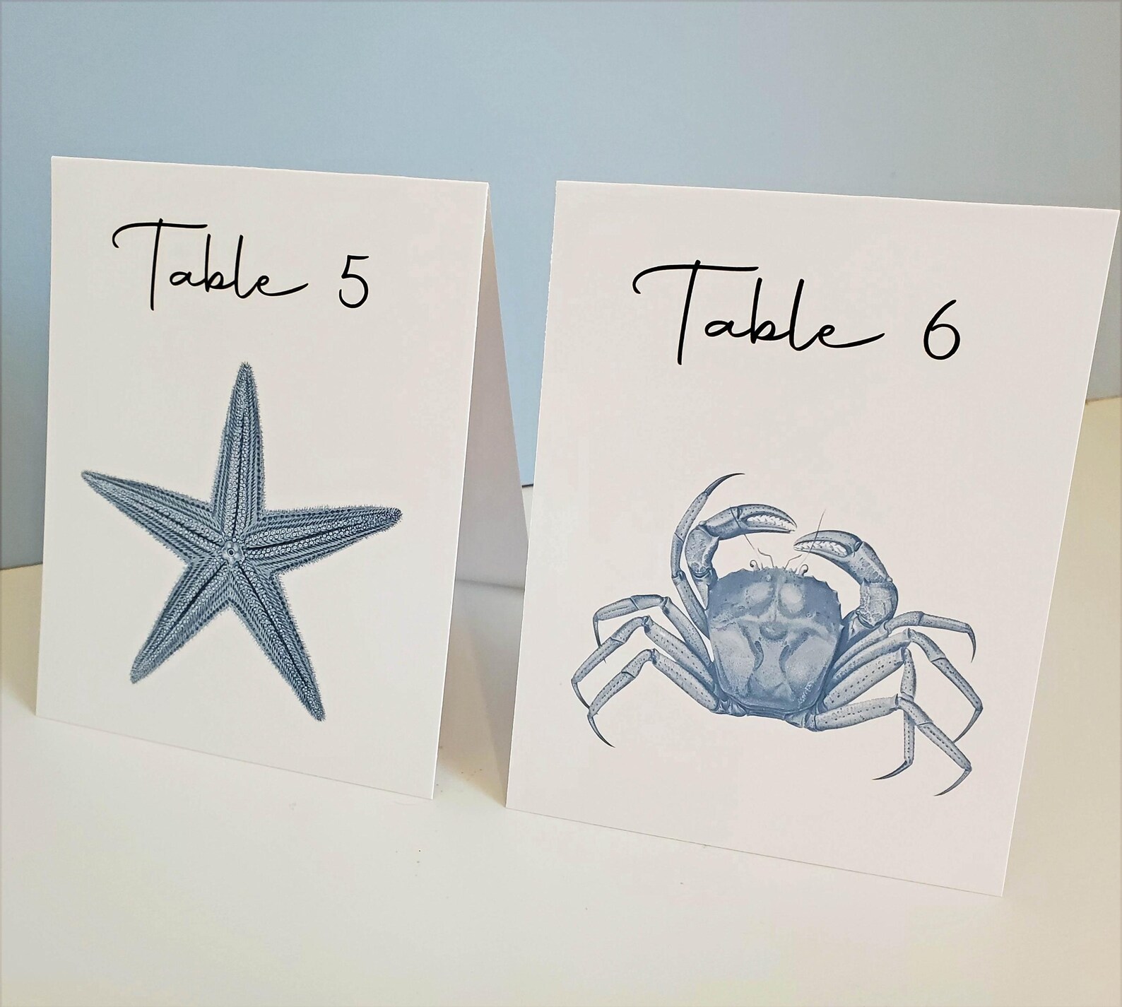 Blue or Aqua Shell Cards, Beach Wedding, Shell Table Numbers, Surf and ...