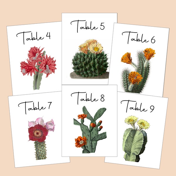 Cactus Table Numbers, Desert Table Tents, Cactus Table Cards, Desert Wedding Table Cards