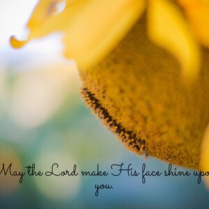 May the Lord Make His Face Shine Upon You  - Sunflower Photo
