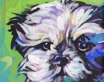 Shih Tzu portrait art modern Dog pop dog art bright colors 8x8 giclee print