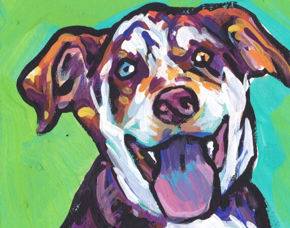 Catahoula Leopard Dog Portrait Art Print Of Pop Painting - Bright Color Dog Paintings Catahoula Leopard Dog Portrait Art Print Of Pop Painting - Bright Color Dog Paintings