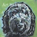 see more listings in the DOG BREEDS D,E,F,G section