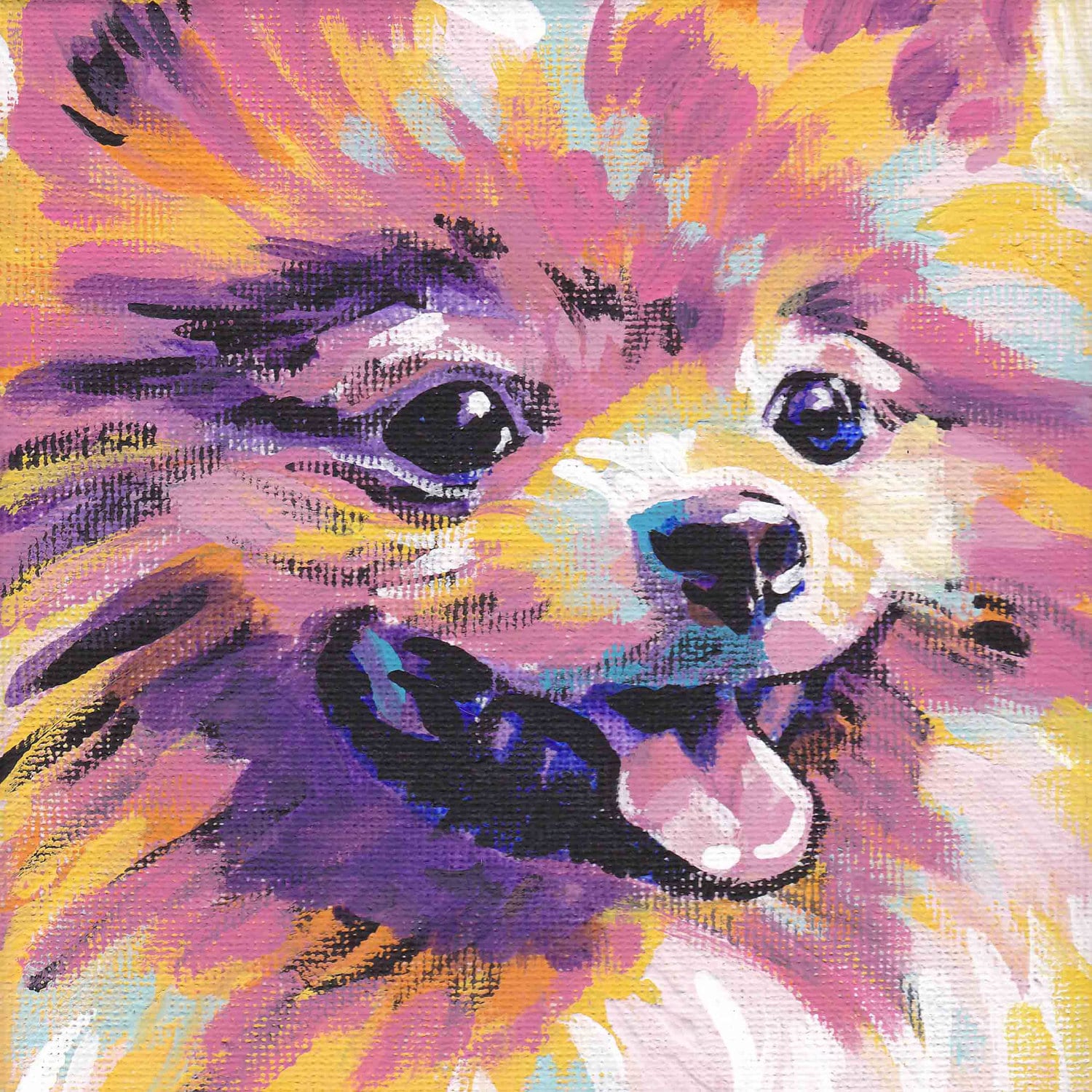 POMERANIAN Dog ART PRINT Pop Art Bright Colors image picture