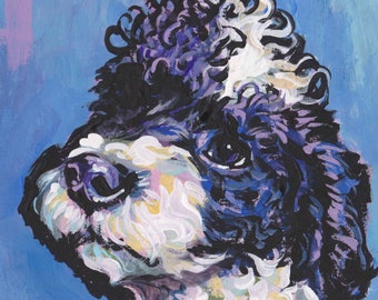 black and white POODLE dog portrait art PRINT pop art bright colorful  12x12"