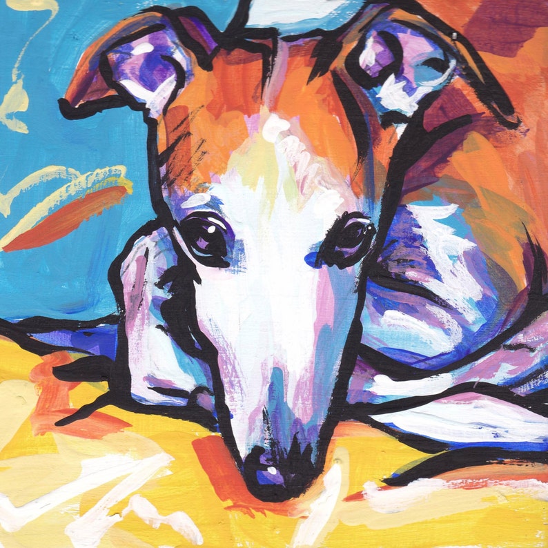 Whippet portrait art print modern Dog pop dog art bright colors 8x8 inch greyhound image 1