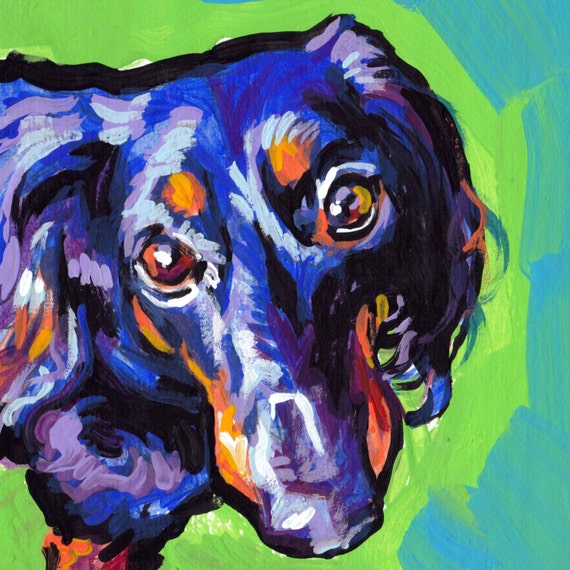Long Haired Black And Tan Dachshund Portrait Art Print Of Pop Etsy