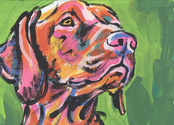 vizsla painting