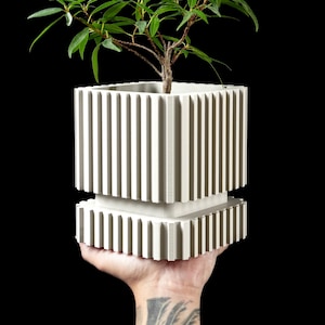 Op de afbeelding: Een crèmekleurige, vierkante plantenbak met verticale geribbelde details, met een kleine groene, bladrijke plant. De plantenbak wordt tegen een zwarte achtergrond gehouden, wat het moderne ontwerp laat zien. De plant voegt een natuurlijk element toe aan de geometrische vorm.