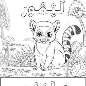 Peut inclure: Illustration en noir et blanc d'un lémurien avec une queue rayée, assis dans une zone herbeuse. Le mot "Lémurien" est écrit en caractères arabes au-dessus du lémurien. Une page à colorier pour enfants.