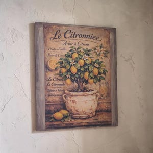 Könnte beinhalten: Gerahmter Kunstdruck mit einem Zitronenbaum im Topf, mit dem Text "Le Citronnier" und weiterem französischen Text. Das Kunstwerk zeigt Zitronen, Blätter und Blüten, mit einer Vintage-Ästhetik. Der Rahmen ist grau.