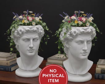 Jardinière buste David classique fichier STL Statue grecque tête Pot modèle décoratif imprimable 3D