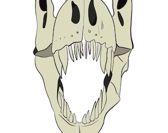 Tyrannosaurus Rex Skull