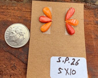 Spiny Oyster 5x10mm Pear Cluster Cabochon Loose Gemstone