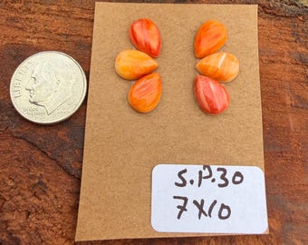 Spiny Oyster 7x10mm Pear Cluster Cabochon Loose Gemstone