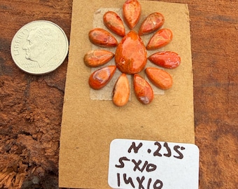 Sponge Coral 5x10mm To 14x10mm Tear Drop Blossom Cabochon Loose Gemstone