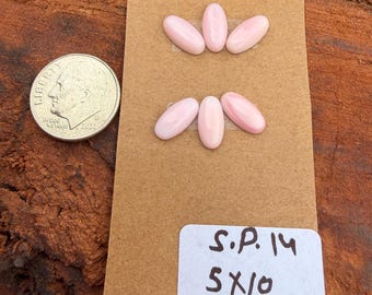 Pink Conch Shell 5x10mm Oval Cluster Cabochon Loose Gemstone