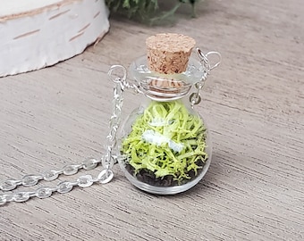 Collier terrarium, bijoux nature forêt printanière, collier mousse, bijoux végétaux pour femme, cadeau fête des mères, petit collier mousse verte