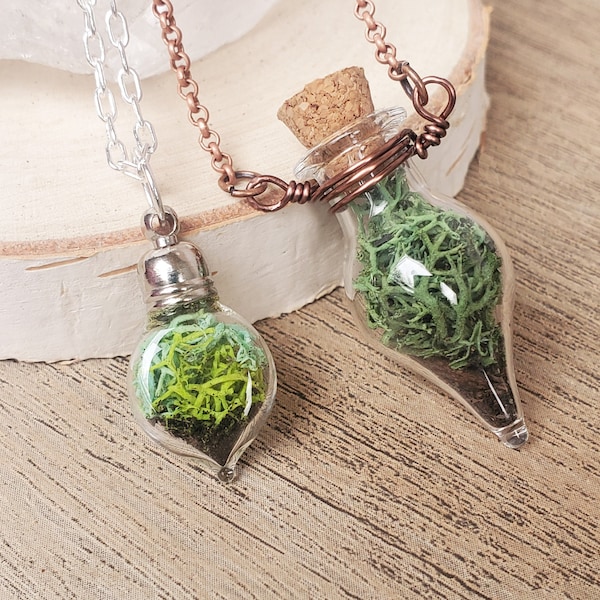 Halsband för terrarium av äkta mossa: Skogsnaturinspirerat hänge