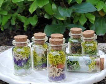 Crystal Moss Jar, Moss Terrarium Glass Vial, Mini Crystal Spell Jar, Witchy Spell Jar Home Decor, Mixed Moss Crystal Woodland Home Decor