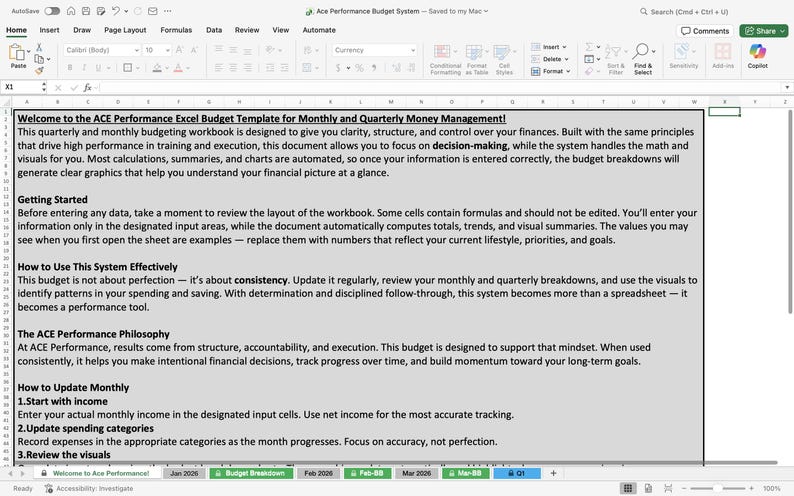 ACE Performance Excel Budget Template for Monthly and Quarterly Money ...