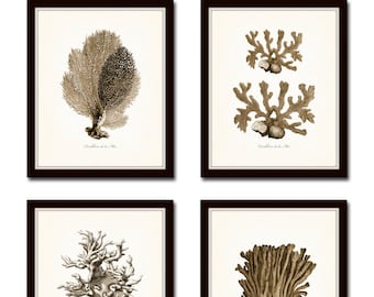 Vintage Sepia Sea Coral Print Set No. 2, Giclee Art Print, Beach House Art, Coastal Art, Prints and Posters, Coral Print, Illustration