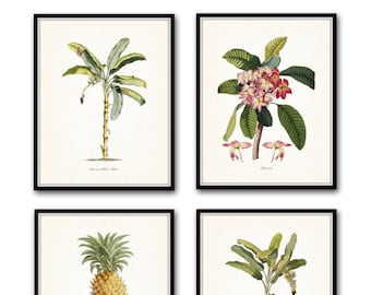 Vintage Tropical Botanical Print Set No. 1, Giclee Prints, Pineapple, Art, Beach Decor, Coastal Art, Botanical Print Set, Poster, Palm Trees