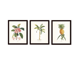 Vintage Tropical Botanical Print Set No. 2, Giclee Prints, Pineapple, Art, Coastal Decor, Coastal Art, Botanical Print Set, Palm Tree Prints