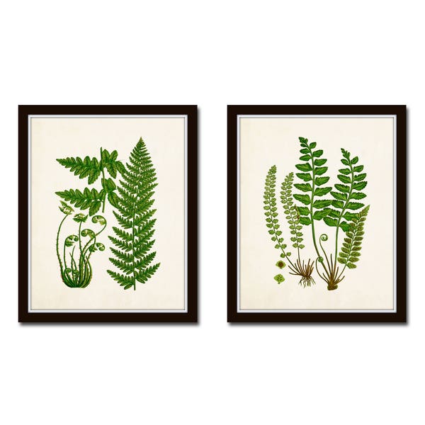 Fern Print - Etsy