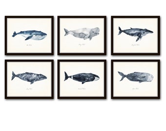 Watercolor Whales Print Set No. 8, Whale Prints, Giclee, allArt Print, Watercolor, Wall Art, Beach House Art, Fish Print Sets, Coastal Decor