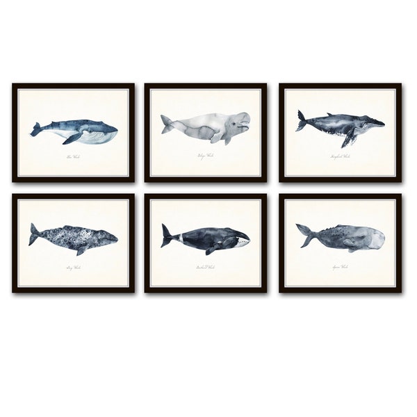 Watercolor Whales Print Set No. 8, Whale Prints, Giclee, allArt Print, Watercolor, Wall Art, Beach House Art, Fish Print Sets, Coastal Decor