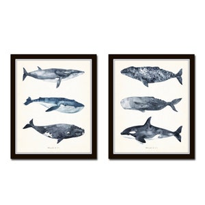 Watercolor Whales Print Set No. 1, Fish Prints, Giclee, Art Print, Coastal Art, Wall Art, Coastal Decor, Beach House Art, Nautical Art