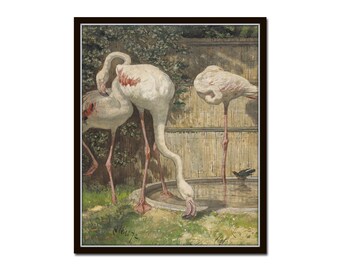 Vintage Flamingo Print, Giclee Art Print, Coastal Home Decor, Vintage Bird Art, Coastal Art, Sea Bird Prints, Tropical Home Decor