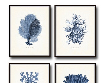 Vintage Indigo Blue Sea Coral Print Set No. 2, Giclee Art Print, Beach House Art, Coastal Art, Prints and Posters, Coral Print, Illustration