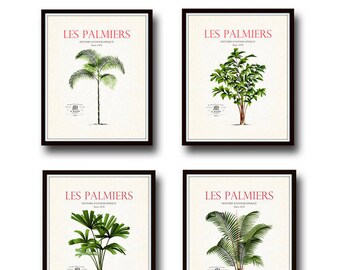 Vintage French Palm Tree Print Set No. 2, Giclee, Art Prints, Nautical Art, Beach Decor, Coastal Art, Botanical Print Set, Poster, Collage