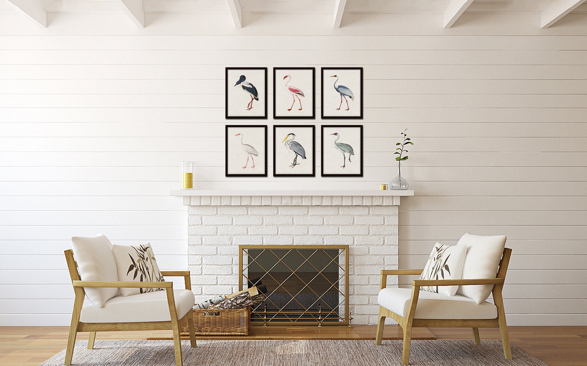 Tropical Sea Birds Set of 6, Vintage Bird Prints, Giclee, Coastal Art ...