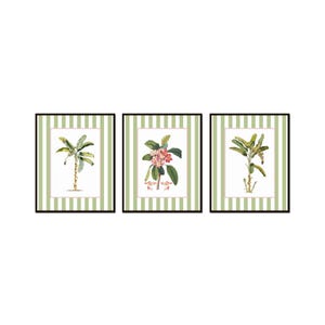 May include: Three framed prints with green and white striped backgrounds. Each print features a different tropical plant illustration: a palm tree, a flowering plant, and another palm tree.
