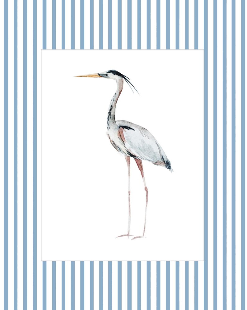 May include: A watercolor painting of a gray heron with a long, thin beak and long legs. The heron is standing on a white background.