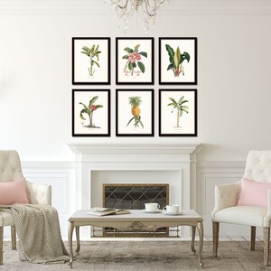 Op de afbeelding: Zes ingelijste botanische prints van tropische planten en fruit, waaronder een ananas, een bananenboom en een palmboom, getoond op een witte muur boven een open haard.