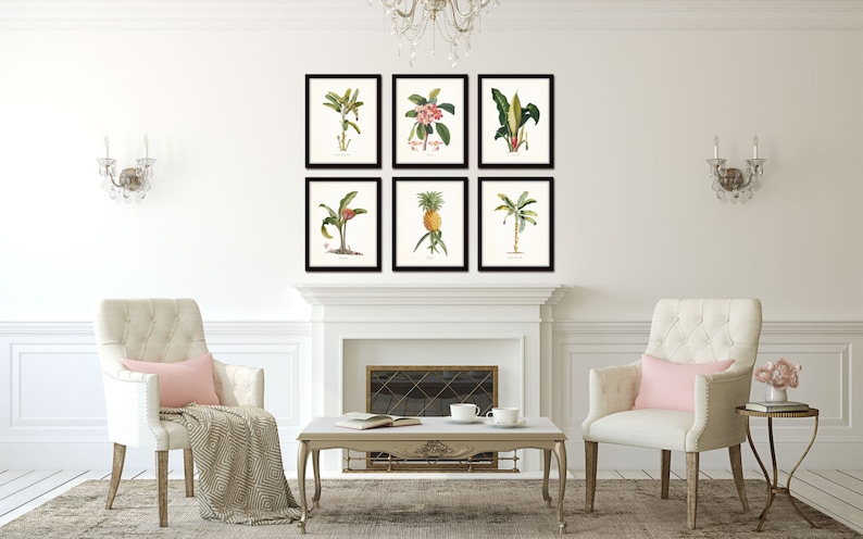 Op de afbeelding: Zes ingelijste botanische prints van tropische planten en fruit, waaronder een ananas, een bananenboom en een palmboom, getoond op een witte muur boven een open haard.