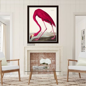 Vintage Audubon Pink Flamingo Bird Print, Giclee Art Print, Poster, Beach House Decor, Wall Hanging, Coastal Art, Audubon Bird Prints image 5
