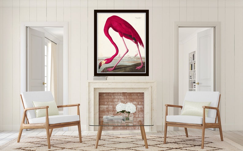 Vintage Audubon Pink Flamingo Bird Print, Giclee Art Print, Poster, Beach House Decor, Wall Hanging, Coastal Art, Audubon Bird Prints image 5