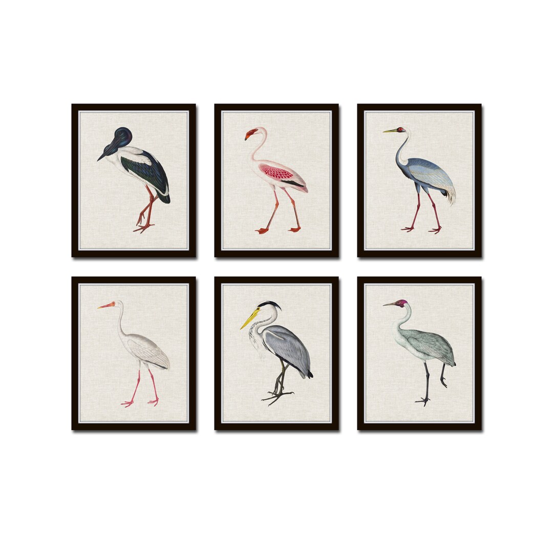 Tropical Sea Birds Set of 6, Vintage Bird Prints, Giclee, Coastal Art
