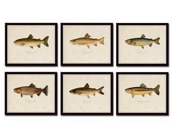 Vintage Trout Print Set No. 2, Natural History Art, Giclee, Art Print, Print Set, Posters, Woodland Art, Fish Print, Trout, Fly Fishing Art