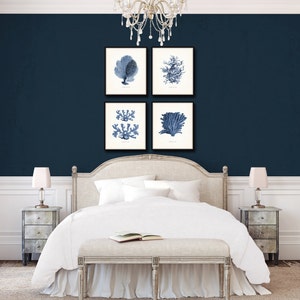 Op de afbeelding: Een wit bed met een wit hoofdeinde en een wit dekbed. Het bed staat in een kamer met donkerblauwe muren en witte lijstwerk. Er hangen vier ingelijste prints aan de muur boven het bed, elk met een blauwe en witte illustratie van een koraal. De prints zijn in een vierkant gerangschikt.